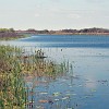 Aransas National Wildlife Refuge